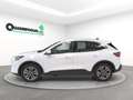 Ford Kuga Kuga  phev Titanium 2wd Bianco - thumbnail 3
