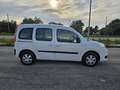 Renault Kangoo 1.5 dCi 75CV 5 porte Life N1 Bianco - thumbnail 4