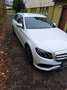 Mercedes-Benz E 200 E 200 d Weiß - thumbnail 3