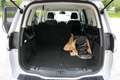 Ford Galaxy 2,0 TDCi Titanium Start/Stop Grigio - thumbnail 12