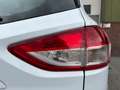 Ford Kuga 1.5 Titanium/KEYL/CAMERA/TRERKH/NAVI/CRUISE/APK/NA Weiß - thumbnail 12