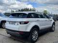 Land Rover Range Rover Evoque Mark III TD4 150 Business A Wit - thumbnail 5