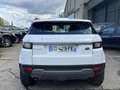 Land Rover Range Rover Evoque Mark III TD4 150 Business A Wit - thumbnail 6