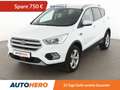 Ford Kuga 1.5 EcoBoost Titanium Aut.*NAVI*XENON*ACC*SPUR* Weiß - thumbnail 1