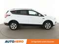 Ford Kuga 1.5 EcoBoost Titanium Aut.*NAVI*XENON*ACC*SPUR* Weiß - thumbnail 7