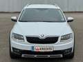 Skoda Octavia Scout*4x4*DSG*Allrad-Kredit*Xenon*AHK*PDC*Navi*Top Fehér - thumbnail 5