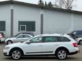 Skoda Octavia Scout*4x4*DSG*Allrad-Kredit*Xenon*AHK*PDC*Navi*Top White - thumbnail 7