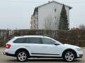 Skoda Octavia Scout*4x4*DSG*Allrad-Kredit*Xenon*AHK*PDC*Navi*Top Weiß - thumbnail 8