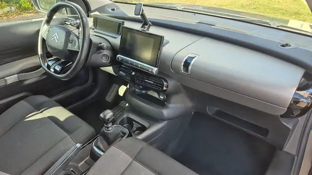 Citroen C4 Cactus view 10