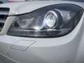 Mercedes-Benz C 250 CDI BlueEfficiency*AMG Sportpaket*Xenon* Blanc - thumbnail 22