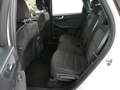 Ford Kuga 2,5 Duratec FHEV Titanium Aut. | FORD STAHL W22 Weiß - thumbnail 25