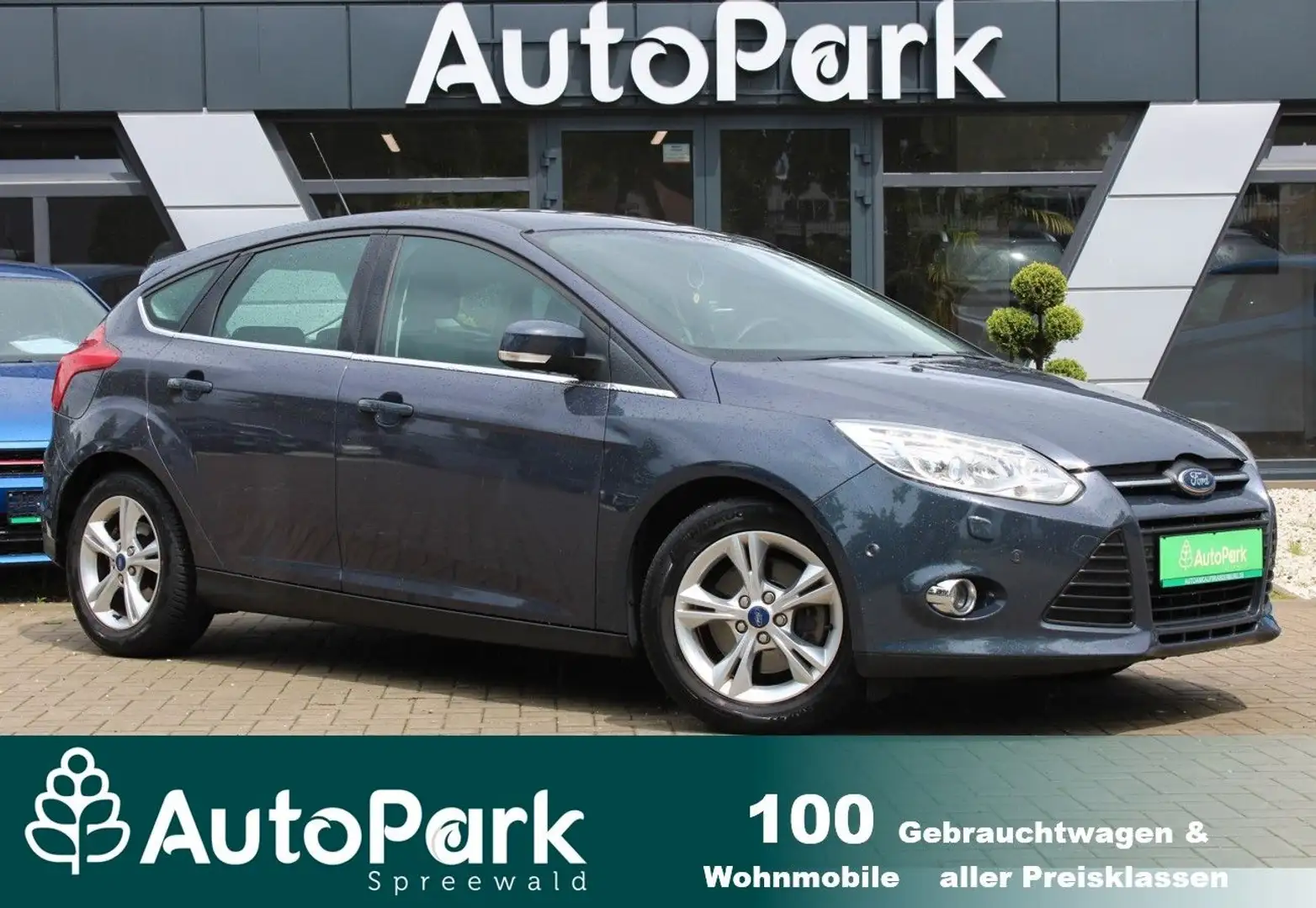 Ford Focus Lim. Champions Edition Gris - 1