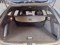 Ford Focus SW 1.0t ecoboost h ST-Line X 125cv Bleu - thumbnail 10