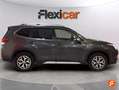 Subaru Forester 2.0i Hybrid Executive Plus CVT Gris - thumbnail 4