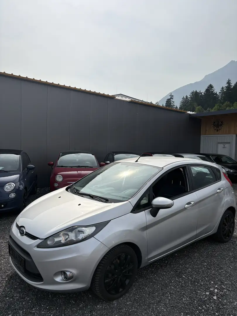 Ford Fiesta Trend 1,4 TDCi DPF Grau - 1