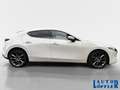 Mazda 3 Skyactive-G Selection Automatik SHZ LHZ DAB Klima Weiß - thumbnail 6