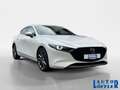Mazda 3 Skyactive-G Selection Automatik SHZ LHZ DAB Klima Weiß - thumbnail 7