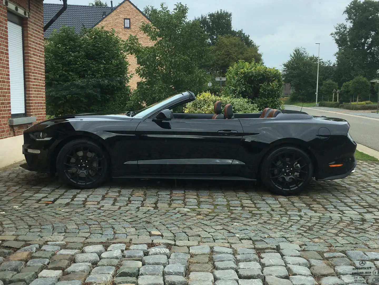 Ford Mustang Mustang Convertible 2.3 Eco Boost Aut. Zwart - 1