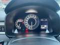 Suzuki Ignis Ignis III 2020 1.2h Top 2wd cvt Verde - thumbnail 12