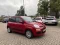 Fiat Panda 0.9 TwinAir Lounge Automaat Klima Pdc Nap Rood - thumbnail 4