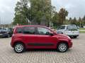 Fiat Panda 0.9 TwinAir Lounge Automaat Klima Pdc Nap Rood - thumbnail 5
