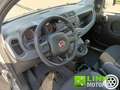 Fiat Panda 1.2 Pop Grau - thumbnail 4