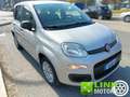 Fiat Panda 1.2 Pop Grau - thumbnail 2