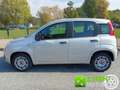 Fiat Panda 1.2 Pop Grau - thumbnail 12