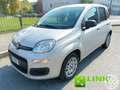 Fiat Panda 1.2 Pop Grau - thumbnail 1