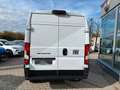 Fiat Ducato Maxi L3H2 KaWa MY25 3,5t Weiß - thumbnail 6
