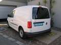 Volkswagen Caddy Kasten  Elektropacket,  Werkstatt- Regale, Klima Weiß - thumbnail 9