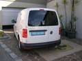 Volkswagen Caddy Kasten  Elektropacket,  Werkstatt- Regale, Klima Weiß - thumbnail 10
