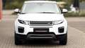 Land Rover Range Rover Evoque RANGE ROVER*EVOQUE-SE*LED*LEDER*PANO*SIZH*AHK*LM Weiß - thumbnail 2