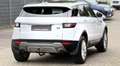 Land Rover Range Rover Evoque RANGE ROVER*EVOQUE-SE*LED*LEDER*PANO*SIZH*AHK*LM Weiß - thumbnail 8