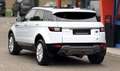 Land Rover Range Rover Evoque RANGE ROVER*EVOQUE-SE*LED*LEDER*PANO*SIZH*AHK*LM Weiß - thumbnail 6