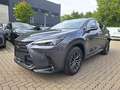 Lexus NX 450h+ NX 450h Executive *el. Heckklappe, Technology.* Grau - thumbnail 1