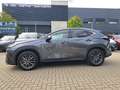 Lexus NX 450h+ NX 450h Executive *el. Heckklappe, Technology.* Grau - thumbnail 3