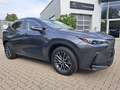Lexus NX 450h+ NX 450h Executive *el. Heckklappe, Technology.* Grau - thumbnail 5