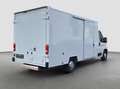 Fiat Ducato L4H2 Koffer/LBW/Klima/Navi/Luftfahrwerk+ Weiß - thumbnail 3