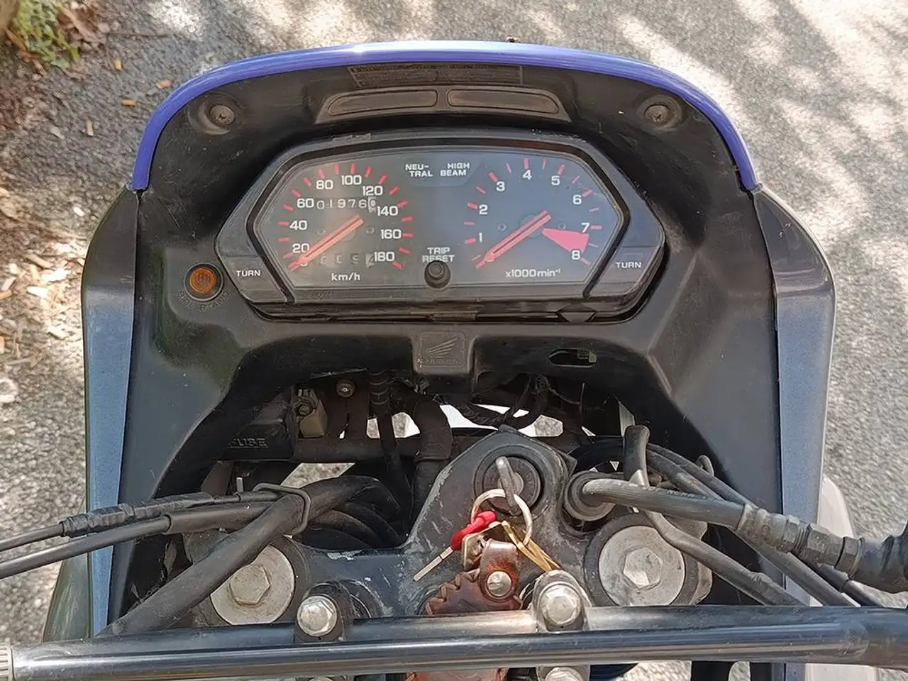 Honda NX 650