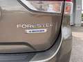Subaru Forester 2,0i e-Boxer Style Allrad Automatik Grau - thumbnail 34
