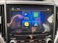 Subaru Forester 2,0i e-Boxer Style Allrad Automatik Grau - thumbnail 21