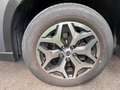 Subaru Forester 2,0i e-Boxer Style Allrad Automatik Grau - thumbnail 35