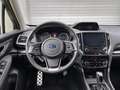 Subaru Forester 2,0i e-Boxer Style Allrad Automatik Grau - thumbnail 12