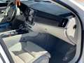 Volvo V90 Cross Country D4 Pro AWD Aut. Biały - thumbnail 9