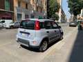 Fiat Panda 1.0 FireFly S&S Hybrid City Cross (PROMO) Gris - thumbnail 5