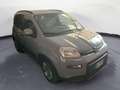 Fiat Panda 1.0 FireFly S&S Hybrid City Cross (PROMO) Gris - thumbnail 18