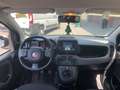 Fiat Panda 1.0 FireFly S&S Hybrid City Cross (PROMO) Gris - thumbnail 13