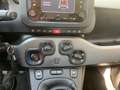 Fiat Panda 1.0 FireFly S&S Hybrid City Cross (PROMO) Gris - thumbnail 19