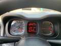 Fiat Panda 1.0 FireFly S&S Hybrid City Cross (PROMO) Gris - thumbnail 17